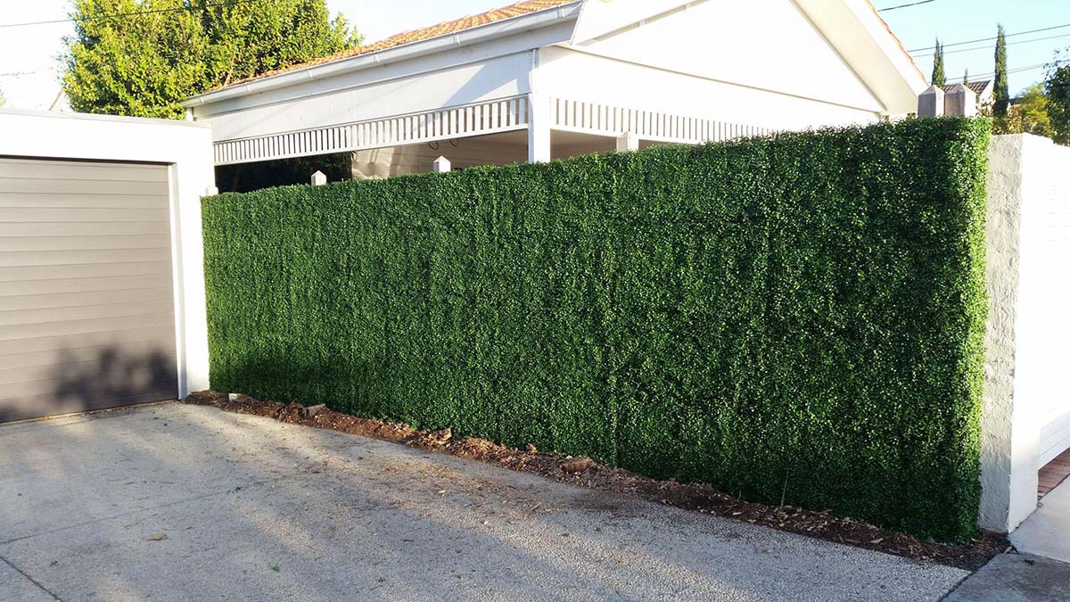 artificial-boxwood-hedge-2