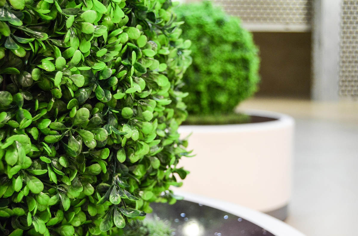 artificial boxwood-2