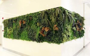 living-wall